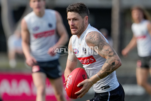 AFL 2024 Training - Collingwood 150824 - A-53156285