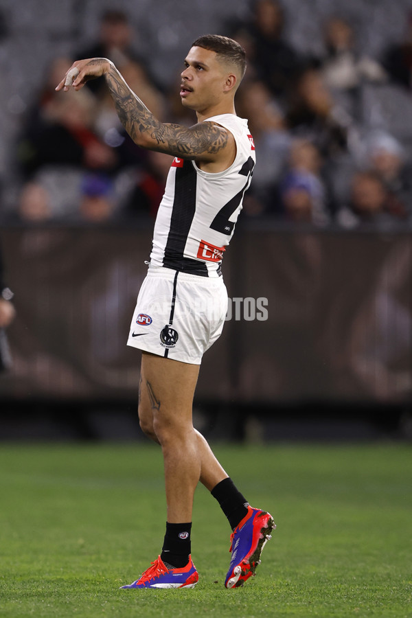 AFL 2024 Round 24 - Melbourne v Collingwood - A-53326424