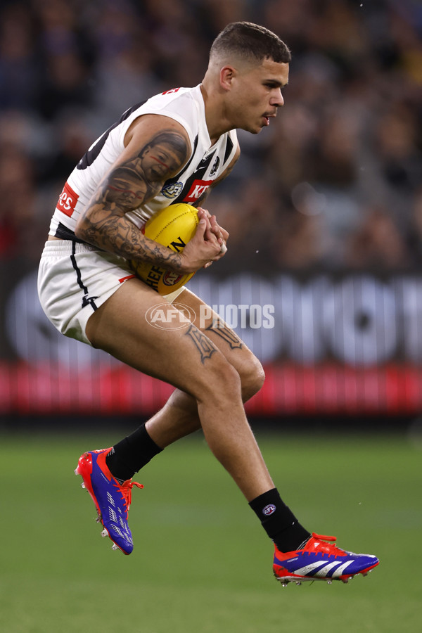 AFL 2024 Round 24 - Melbourne v Collingwood - A-53326450