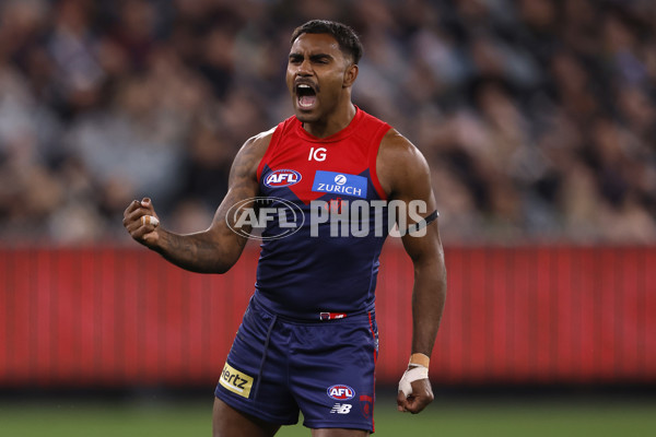 AFL 2024 Round 24 - Melbourne v Collingwood - A-53326477