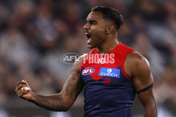 AFL 2024 Round 24 - Melbourne v Collingwood - A-53326479