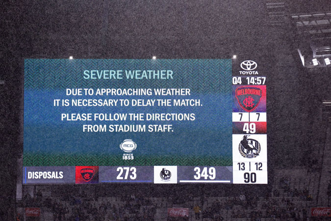 53329491