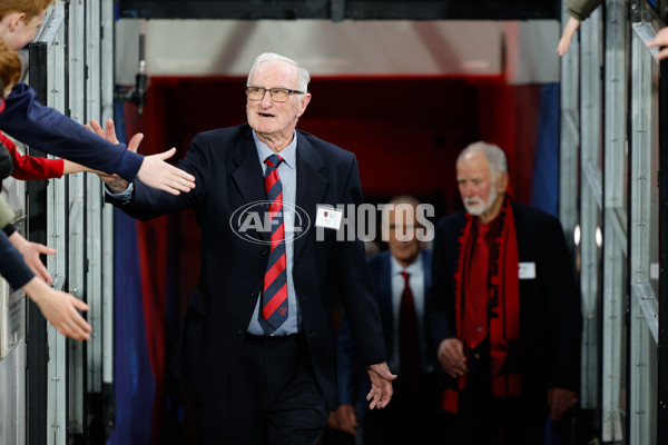 AFL 2024 Round 24 - Melbourne v Collingwood - A-53333661