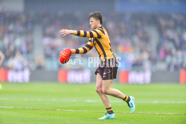 AFL 2024 Round 24 - Hawthorn v North Melbourne - A-53335351
