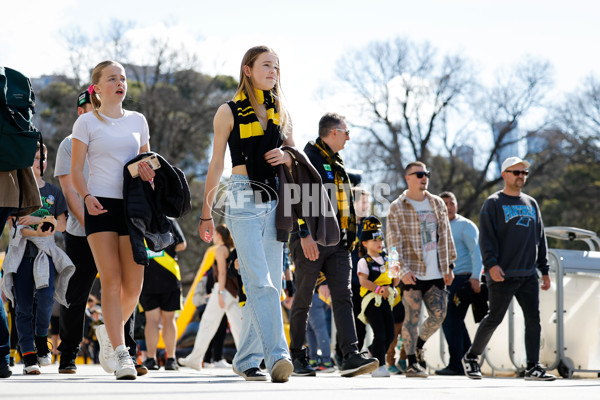 AFL 2024 Round 24 - Richmond v Gold Coast - A-53341941