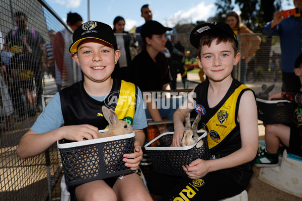 AFL 2024 Round 24 - Richmond v Gold Coast - A-53341945
