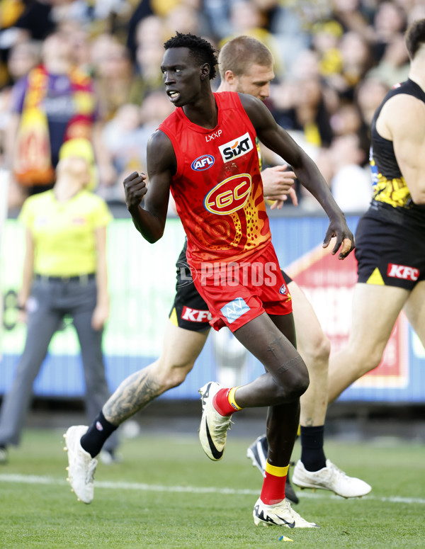 AFL 2024 Round 24 - Richmond v Gold Coast - A-53350463