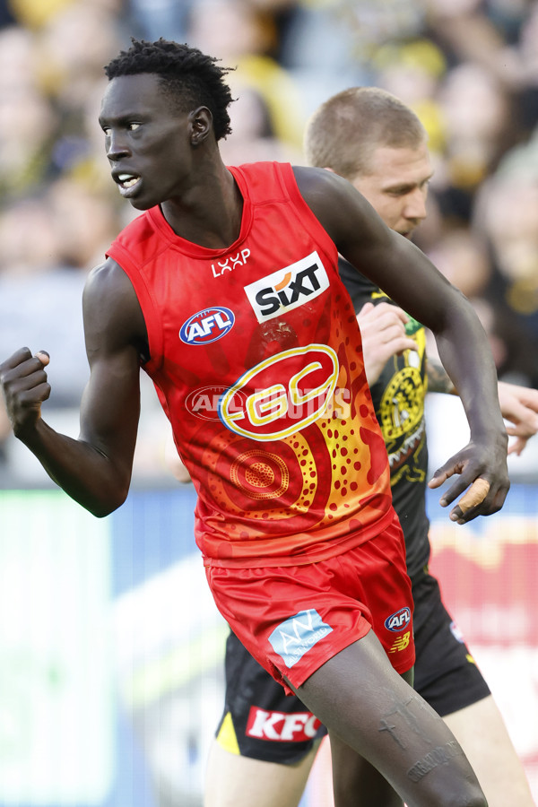 AFL 2024 Round 24 - Richmond v Gold Coast - A-53350464