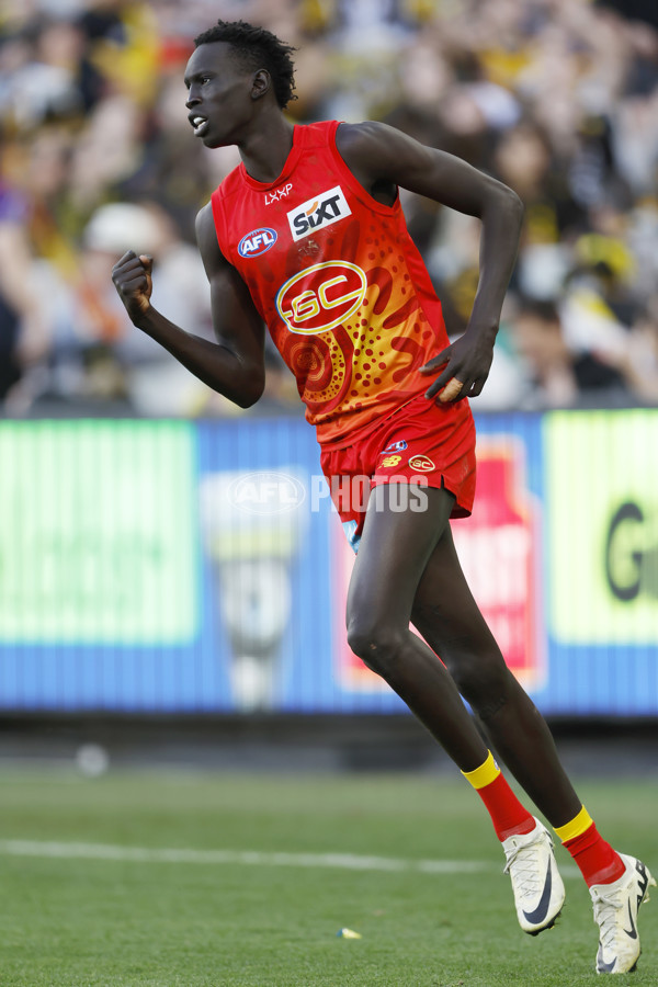 AFL 2024 Round 24 - Richmond v Gold Coast - A-53350465