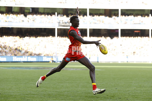 AFL 2024 Round 24 - Richmond v Gold Coast - A-53351499