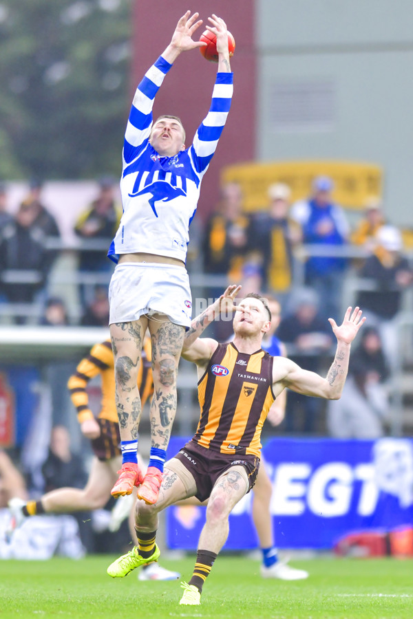 AFL 2024 Round 24 - Hawthorn v North Melbourne - A-53353557