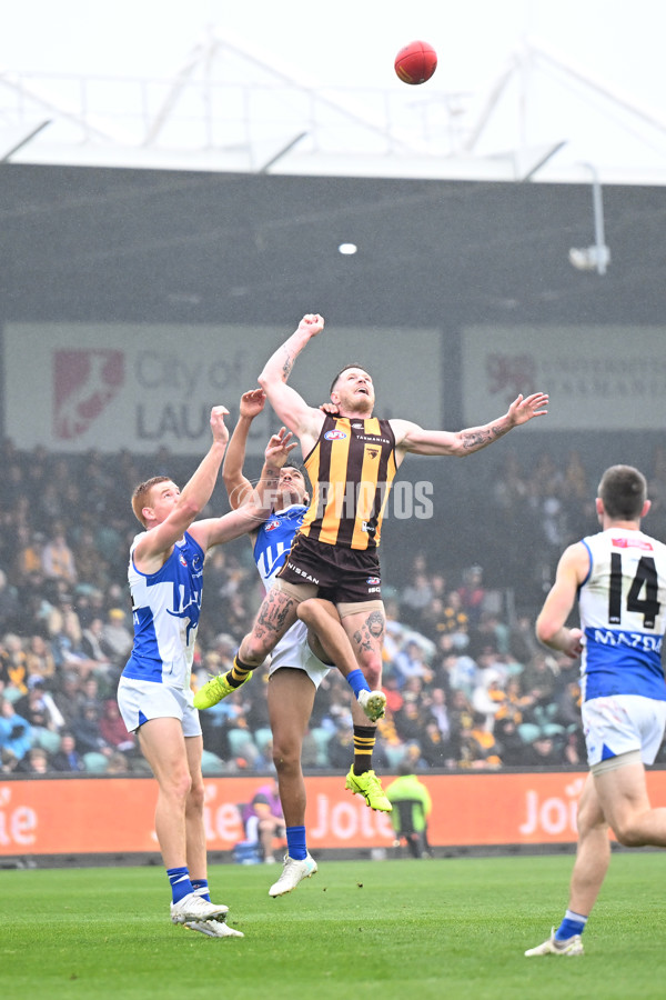 AFL 2024 Round 24 - Hawthorn v North Melbourne - A-53364157