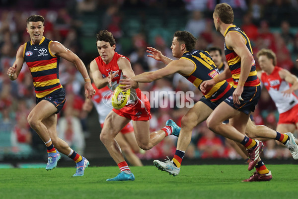 AFL 2024 Round 24 - Sydney v Adelaide - A-53367716
