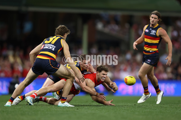 AFL 2024 Round 24 - Sydney v Adelaide - A-53367731