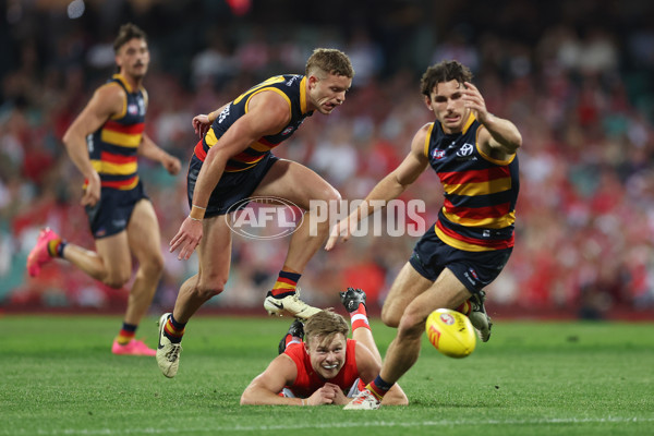 AFL 2024 Round 24 - Sydney v Adelaide - A-53367756