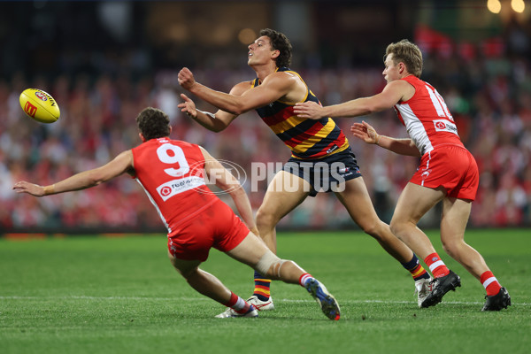 AFL 2024 Round 24 - Sydney v Adelaide - A-53370798
