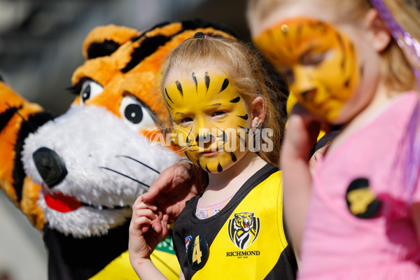 AFL 2024 Round 24 - Richmond v Gold Coast - A-53376645