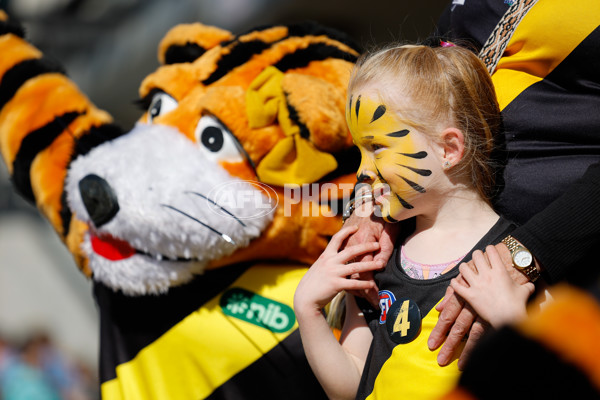AFL 2024 Round 24 - Richmond v Gold Coast - A-53376658