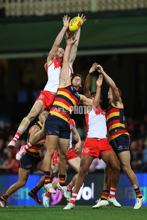 AFL 2024 Round 24 - Sydney v Adelaide - A-53379032