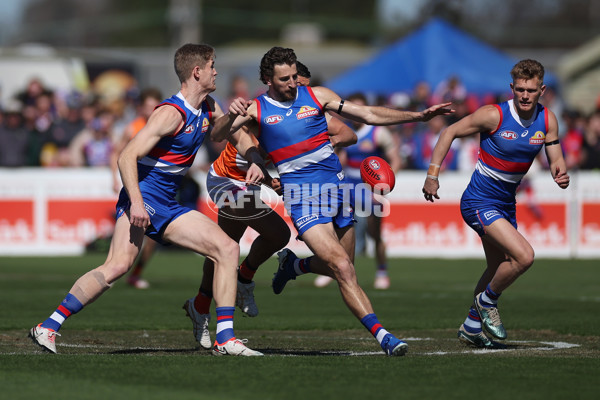 AFL 2024 Round 24 - Western Bulldogs v GWS - A-53379099