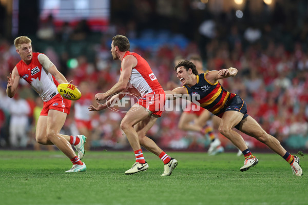 AFL 2024 Round 24 - Sydney v Adelaide - A-53379348
