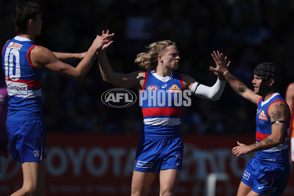 AFL 2024 Round 24 - Western Bulldogs v GWS - A-53381542
