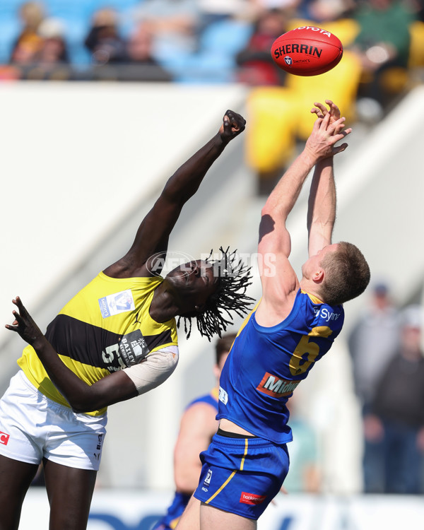 VFL 2024 Wildcard Round - Williamstown v Richmond - A-53386619