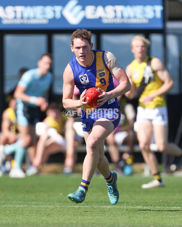VFL 2024 Wildcard Round - Williamstown v Richmond - A-53392434