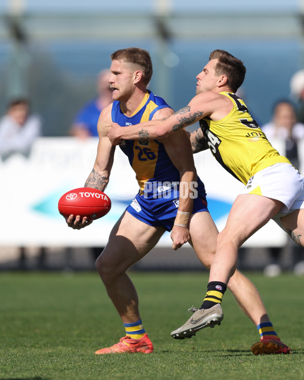 VFL 2024 Wildcard Round - Williamstown v Richmond - A-53392534