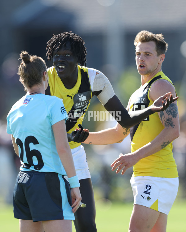 VFL 2024 Wildcard Round - Williamstown v Richmond - A-53395037