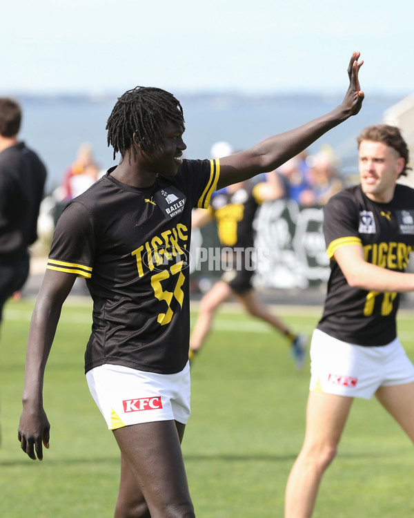 VFL 2024 Wildcard Round - Williamstown v Richmond - A-53397652