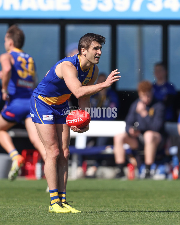 VFL 2024 Wildcard Round - Williamstown v Richmond - A-53402426