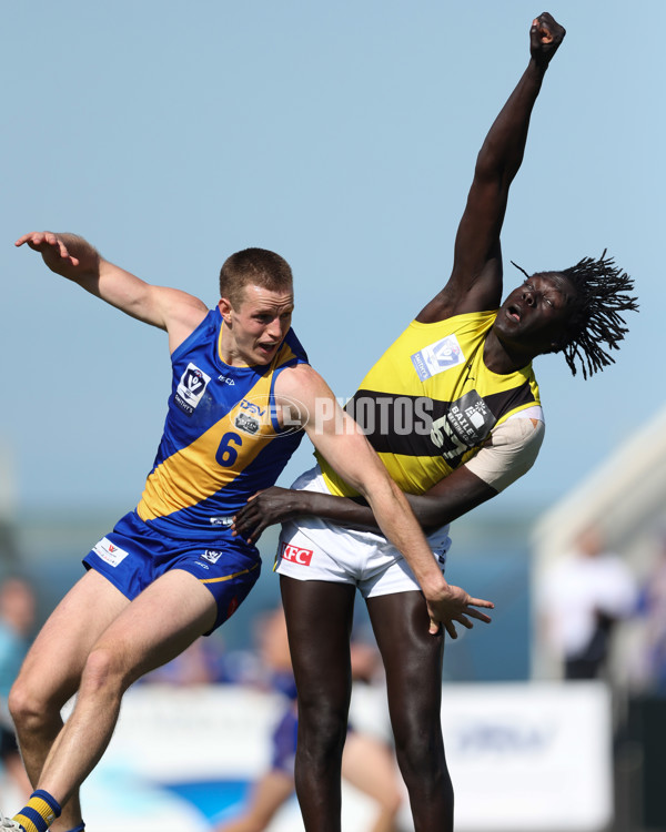VFL 2024 Wildcard Round - Williamstown v Richmond - A-53402598