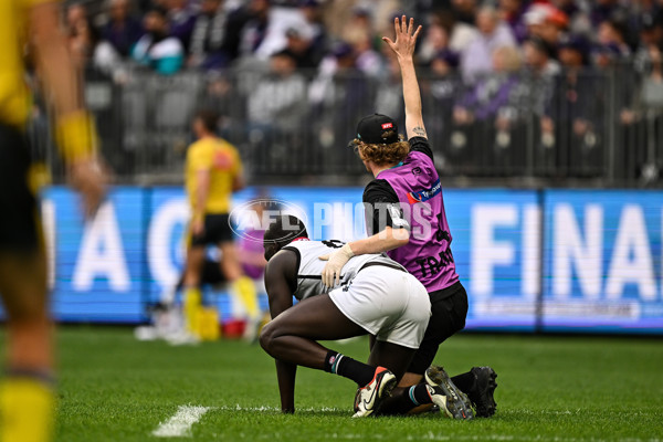 AFL 2024 Round 24 - Fremantle v Port Adelaide - A-53405938