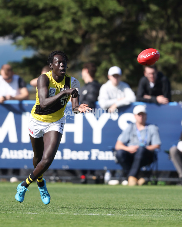 VFL 2024 Wildcard Round - Williamstown v Richmond - A-53409635