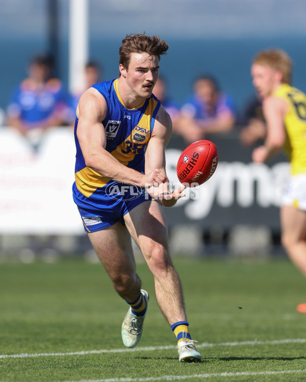 VFL 2024 Wildcard Round - Williamstown v Richmond - A-53409640