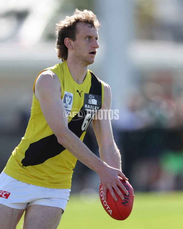 VFL 2024 Wildcard Round - Williamstown v Richmond - A-53414705