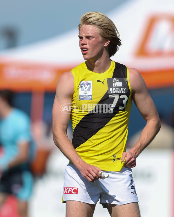 VFL 2024 Wildcard Round - Williamstown v Richmond - A-53415772