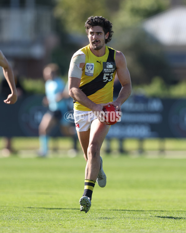 VFL 2024 Wildcard Round - Williamstown v Richmond - A-53415840