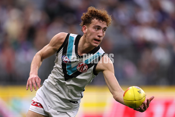 AFL 2024 Round 24 - Fremantle v Port Adelaide - A-53415862