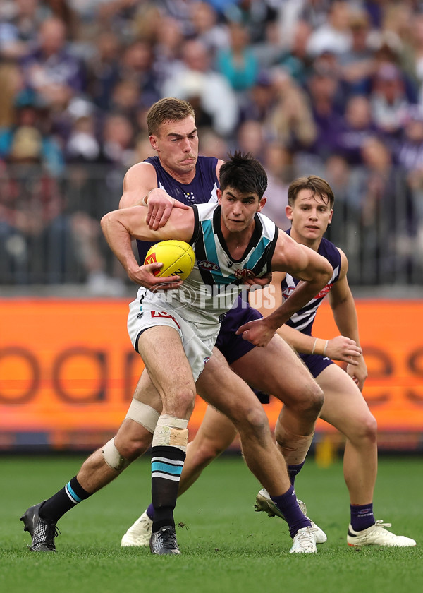 AFL 2024 Round 24 - Fremantle v Port Adelaide - A-53418195