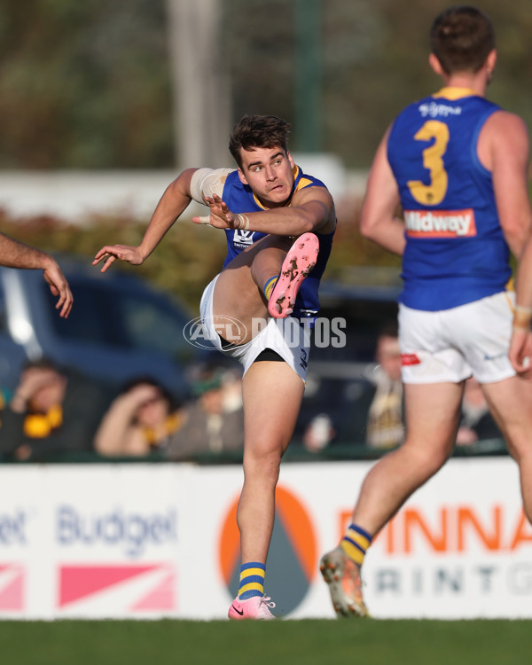 VFL 2024 Elimination Final - Box Hill v Williamstown - A-53585581