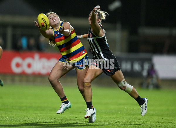 AFLW 2024 Round 01 - Port Adelaide v Adelaide - A-53591302