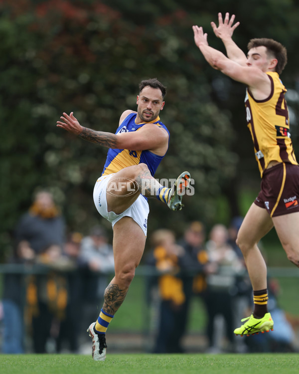 VFL 2024 Elimination Final - Box Hill v Williamstown - A-53593342