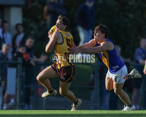 VFL 2024 Elimination Final - Box Hill v Williamstown - A-53595803