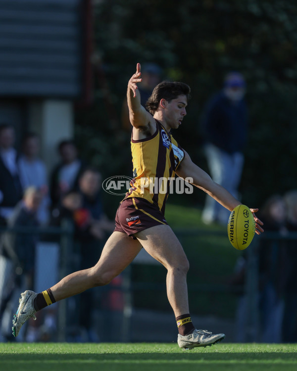 VFL 2024 Elimination Final - Box Hill v Williamstown - A-53595805