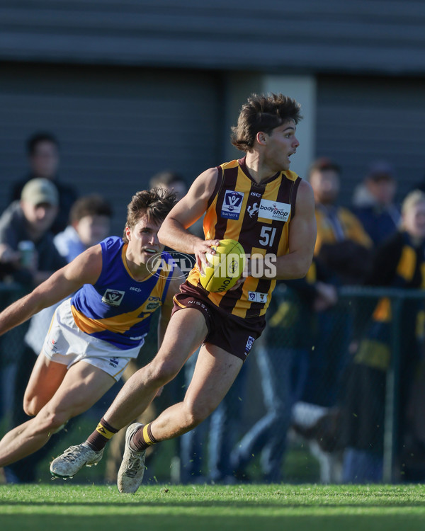 VFL 2024 Elimination Final - Box Hill v Williamstown - A-53596869