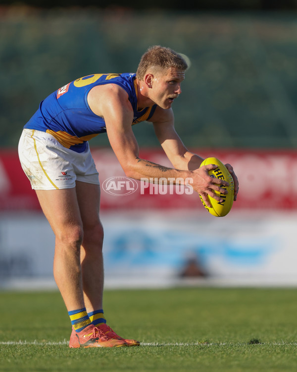 VFL 2024 Elimination Final - Box Hill v Williamstown - A-53596913