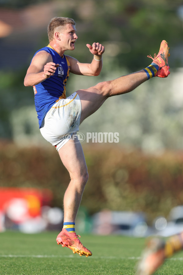 VFL 2024 Elimination Final - Box Hill v Williamstown - A-53596914