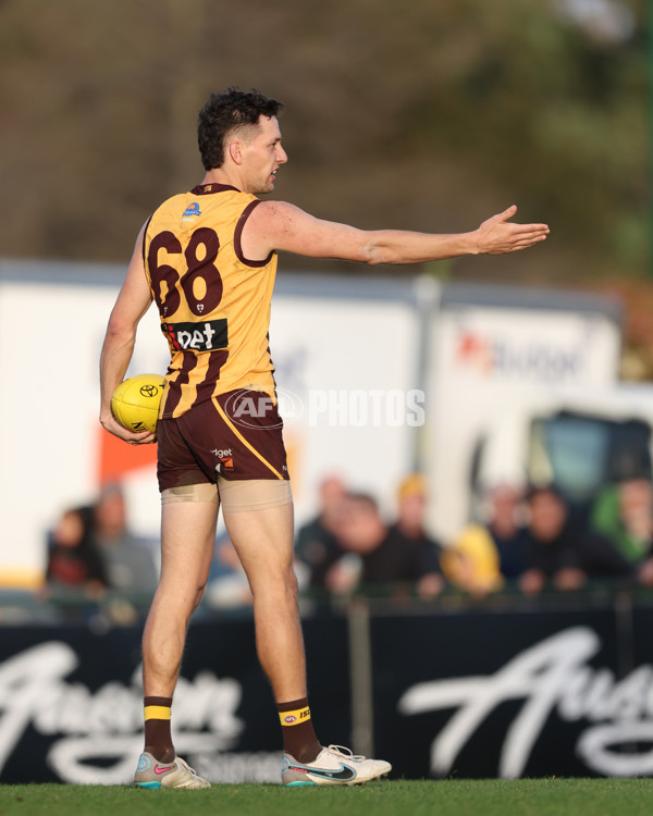 VFL 2024 Elimination Final - Box Hill v Williamstown - A-53598208
